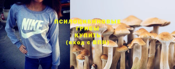 героин Абаза