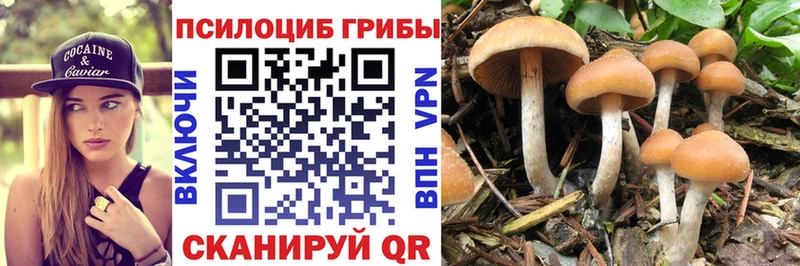 наркотики  Кириллов  Галлюциногенные грибы Psilocybine cubensis 